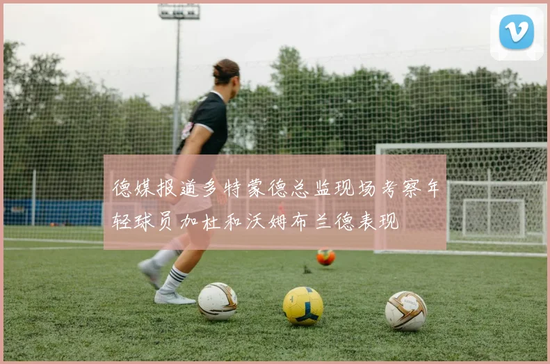 德媒报道多特蒙德总监现场考察年轻球员加杜和沃姆布兰德表现