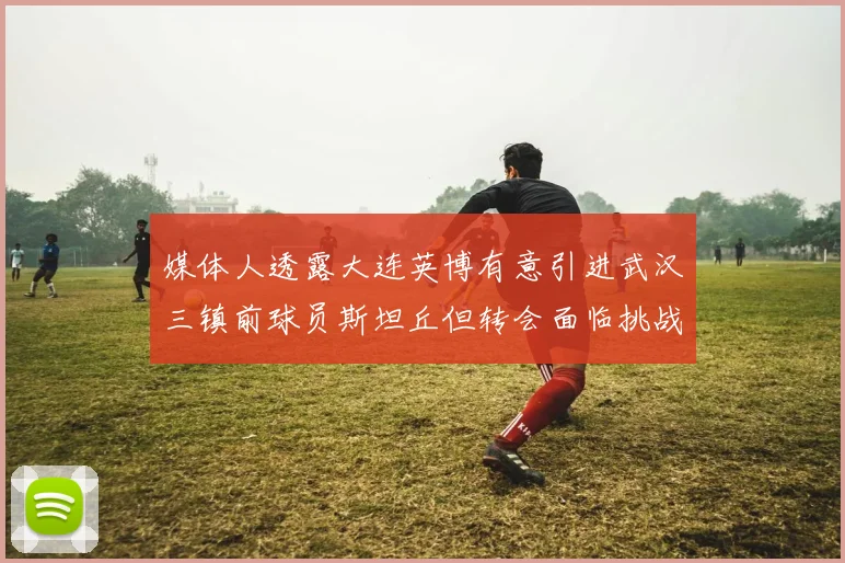 媒体人透露大连英博有意引进武汉三镇前球员斯坦丘但转会面临挑战