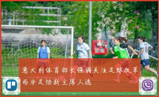 意大利体育部长强调关注足球改革而非足协新主席人选