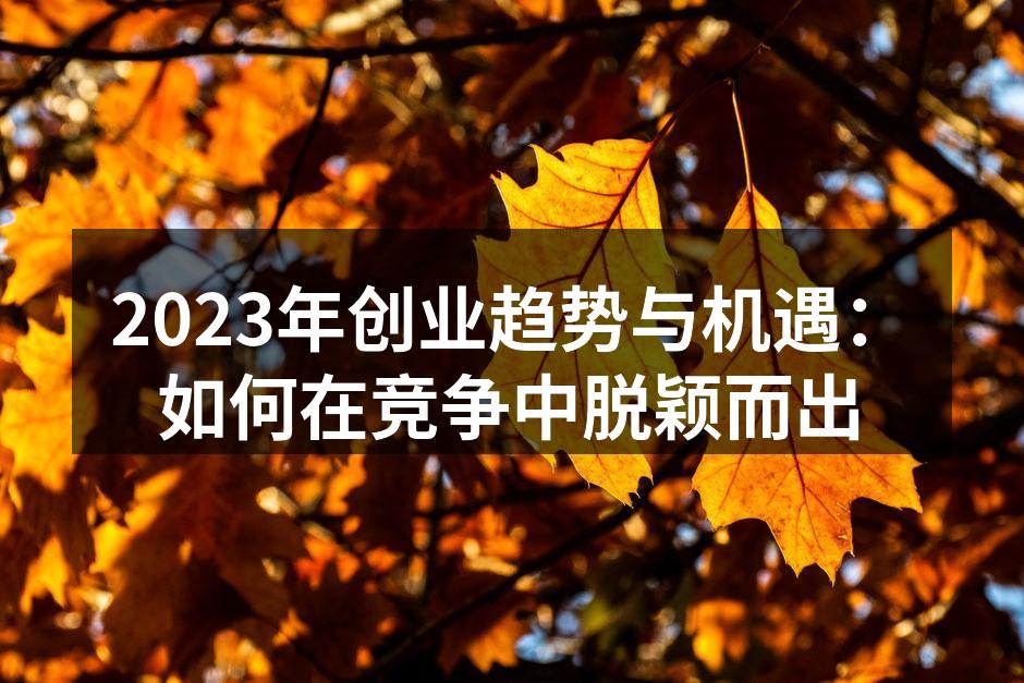 2023年创业趋势与机遇：如何在竞争中脱颖而出