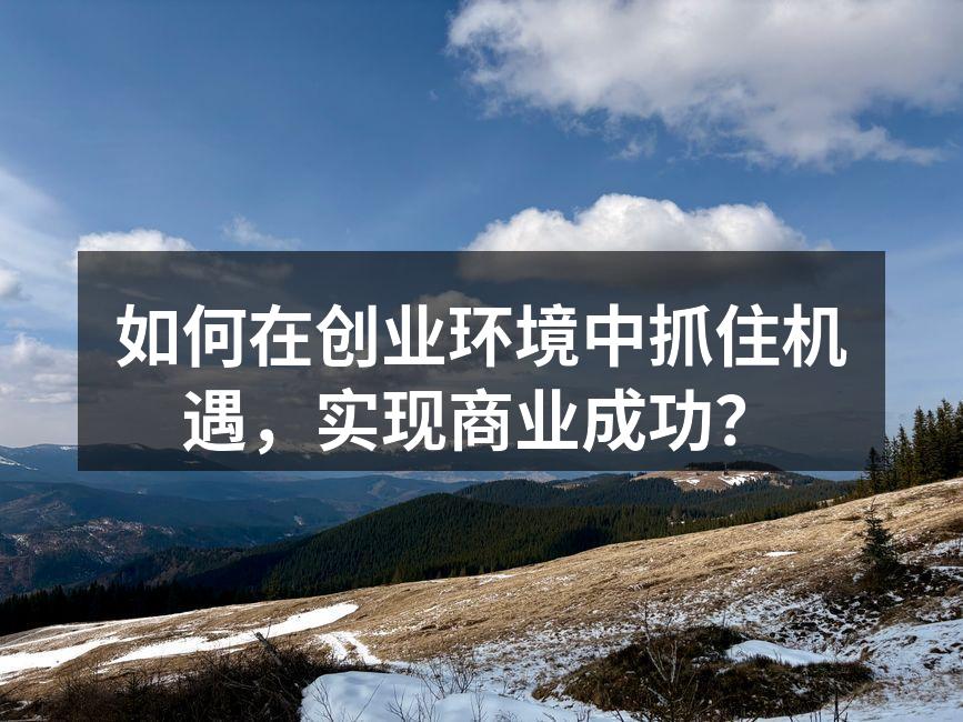 如何在创业环境中抓住机遇，实现商业成功？